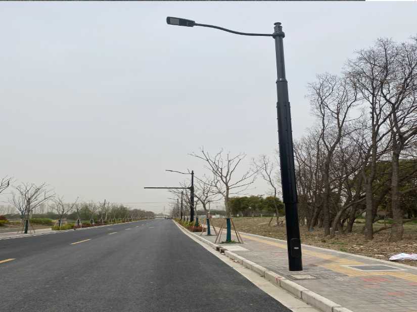 利辛县上海综合杆 太阳能路灯工程